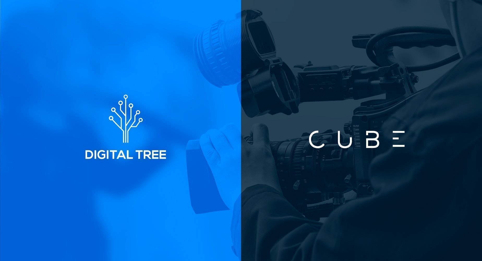 Digital Tree Cube 